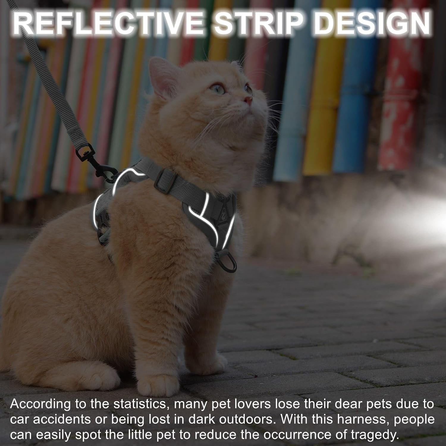 Detalle 1 de Cat Harness and Leash Set, M