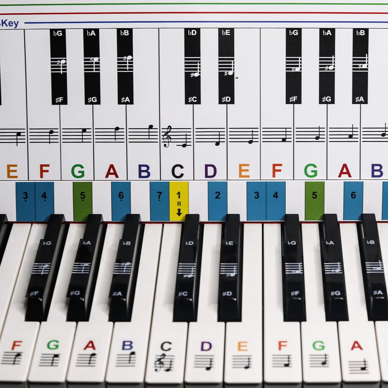 Detalle de Enjoyard Piano Keyboard Stickers for 61/88 Keys