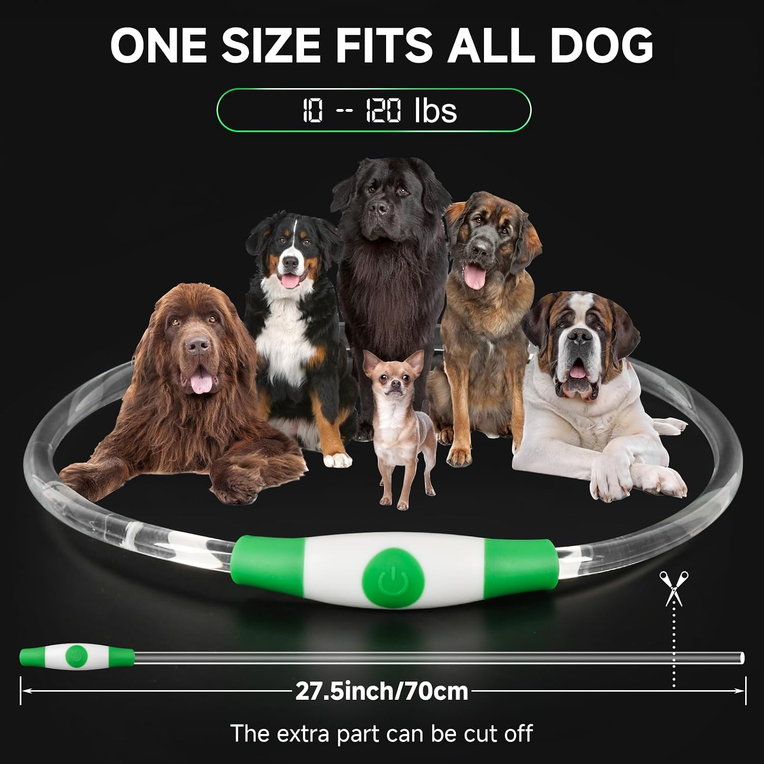 Detalle de Cocodonut Light Up Dog Collar 70cm