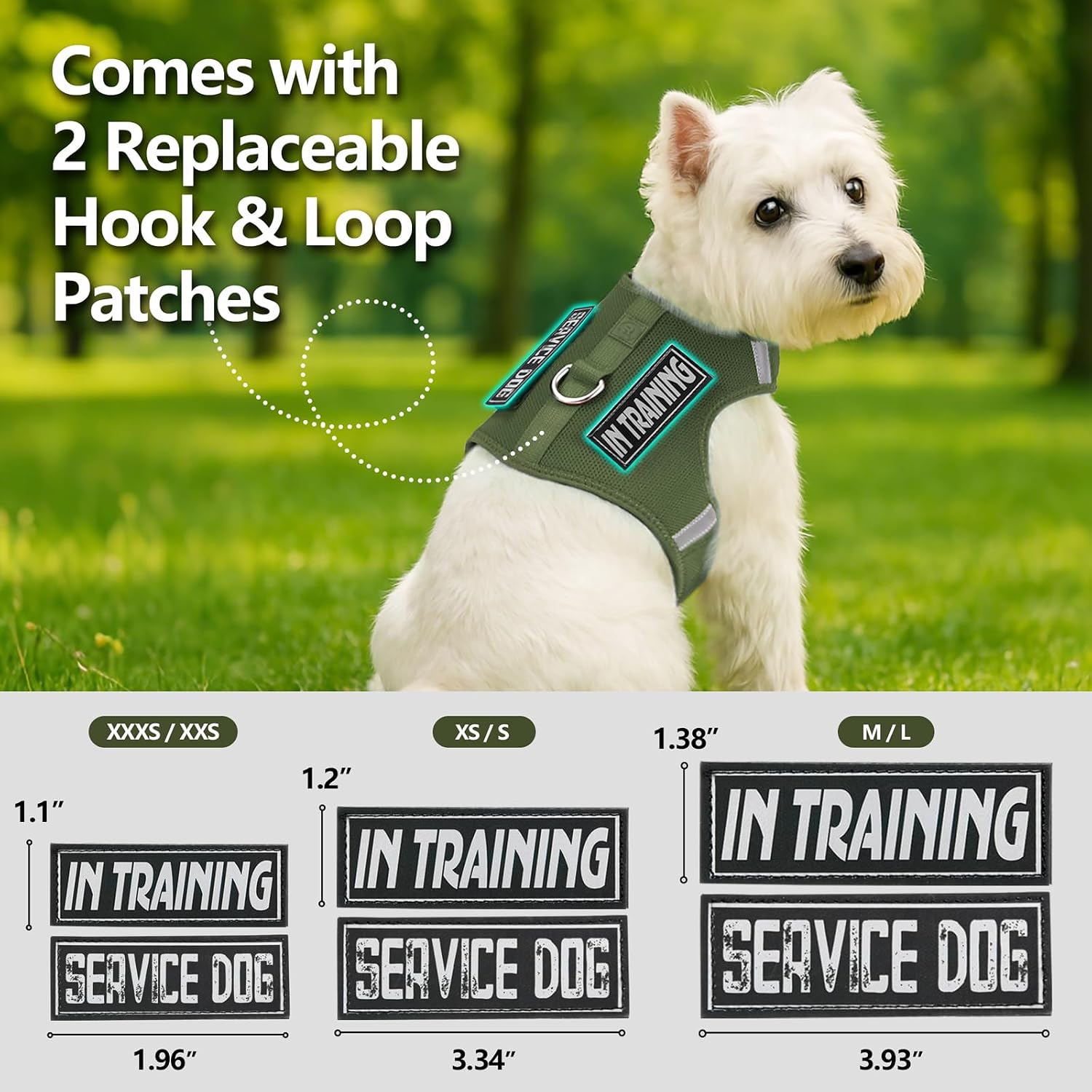 Detalle 2 de Sunraymascota Small Dog Harness with Reflective Design (Misty Green, Size S) – Adjustable, Lightweight & Breathable