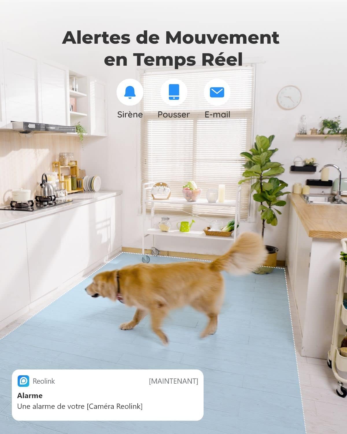 Detalle 2 de Reolink 5MP PTZ Caméra Surveillance WiFi Intérieur