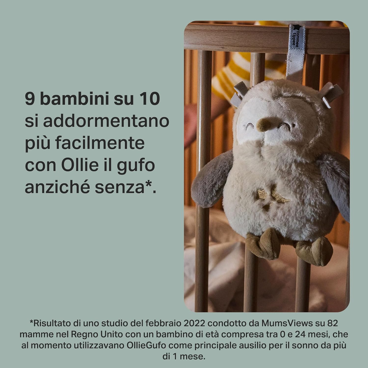 Thumbnail 2 de Tommee Tippee Ollie il Gufo 72 ore