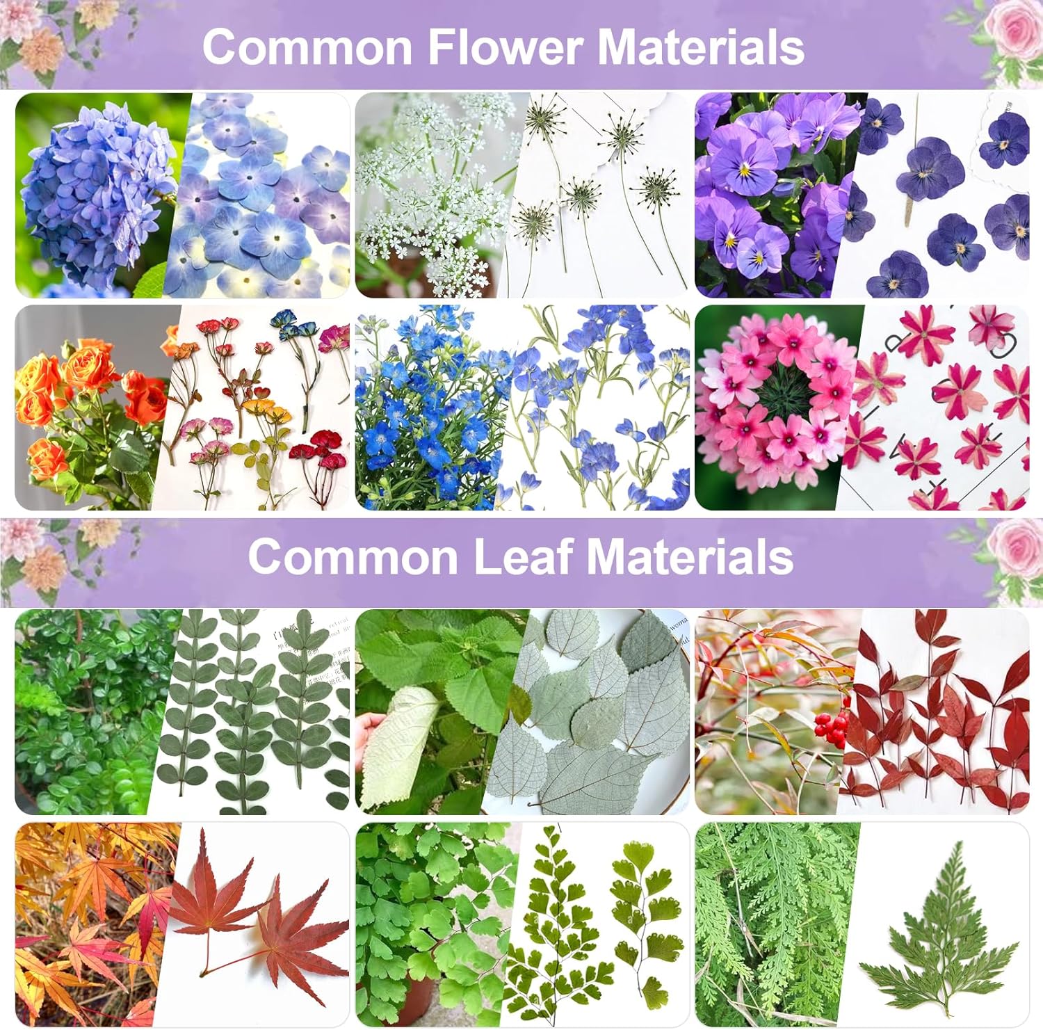 Thumbnail 6 de Suziko Großes Blumenpressen-Set (Blumen- und Pflanzenkonservierungs-Set) mit Blattpresse, 27,5 x 17,5 cm