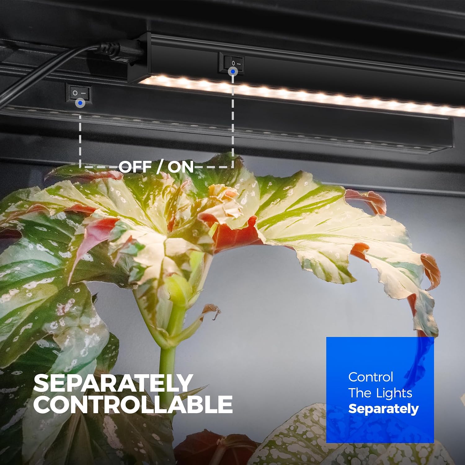 Thumbnail 5 de Barrina T5 1FT 20W grow light strip 🌱