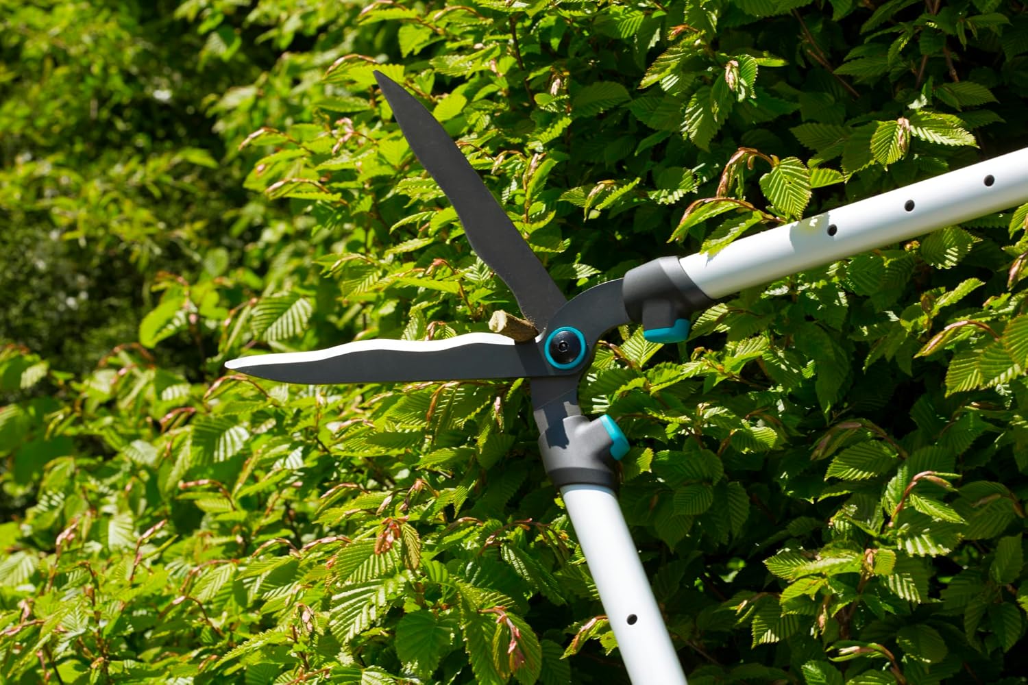 Detalle de Gardena Heckenschere TeleCut – Leichte, telescopierbare Gartenschere (12304-20)