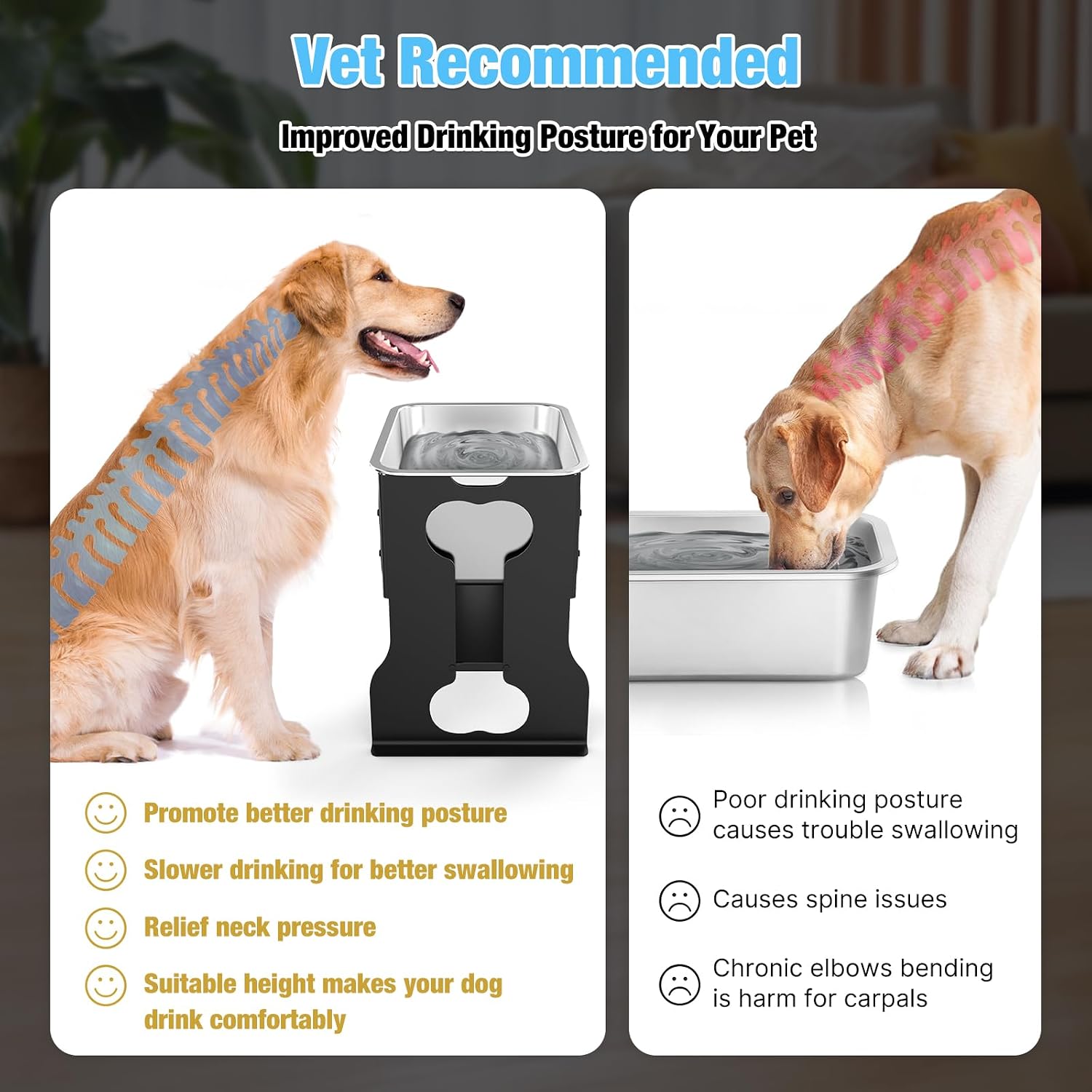 Detalle de 2.4 Gallon Elevated Large Dog Water Bowl with Stand for Large Breeds