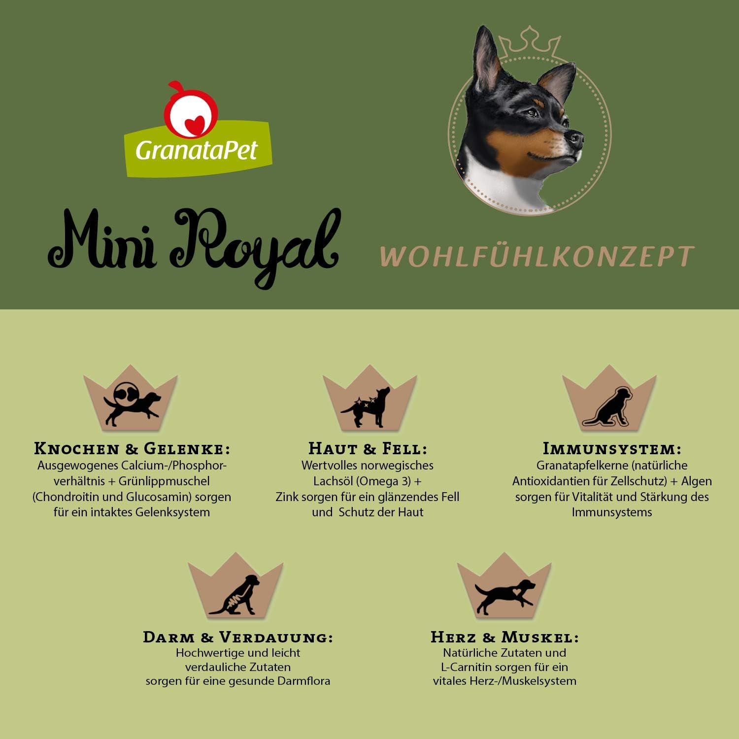 Detalle 2 de GranataPet Mini Royal Lamm – Getreidefreies Trockenfutter für kleine Hunde (1 kg)