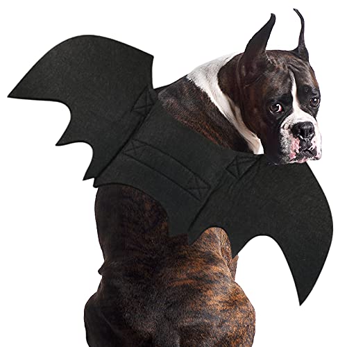 Detalle de RANYPET Dog Bat Wings XL dog costume ðŸŽ