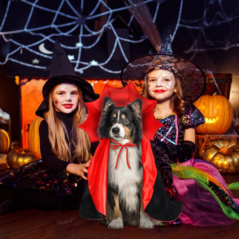 Detalle 2 de Vellibring VB-US-HA194M1P1 Dog Vampire Cape, Adjustable Red-and-Black Costume
