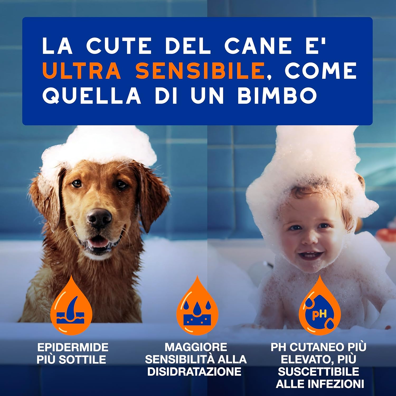 Detalle de DOUXO Skin & Coat SPA shampoo 2 in 1