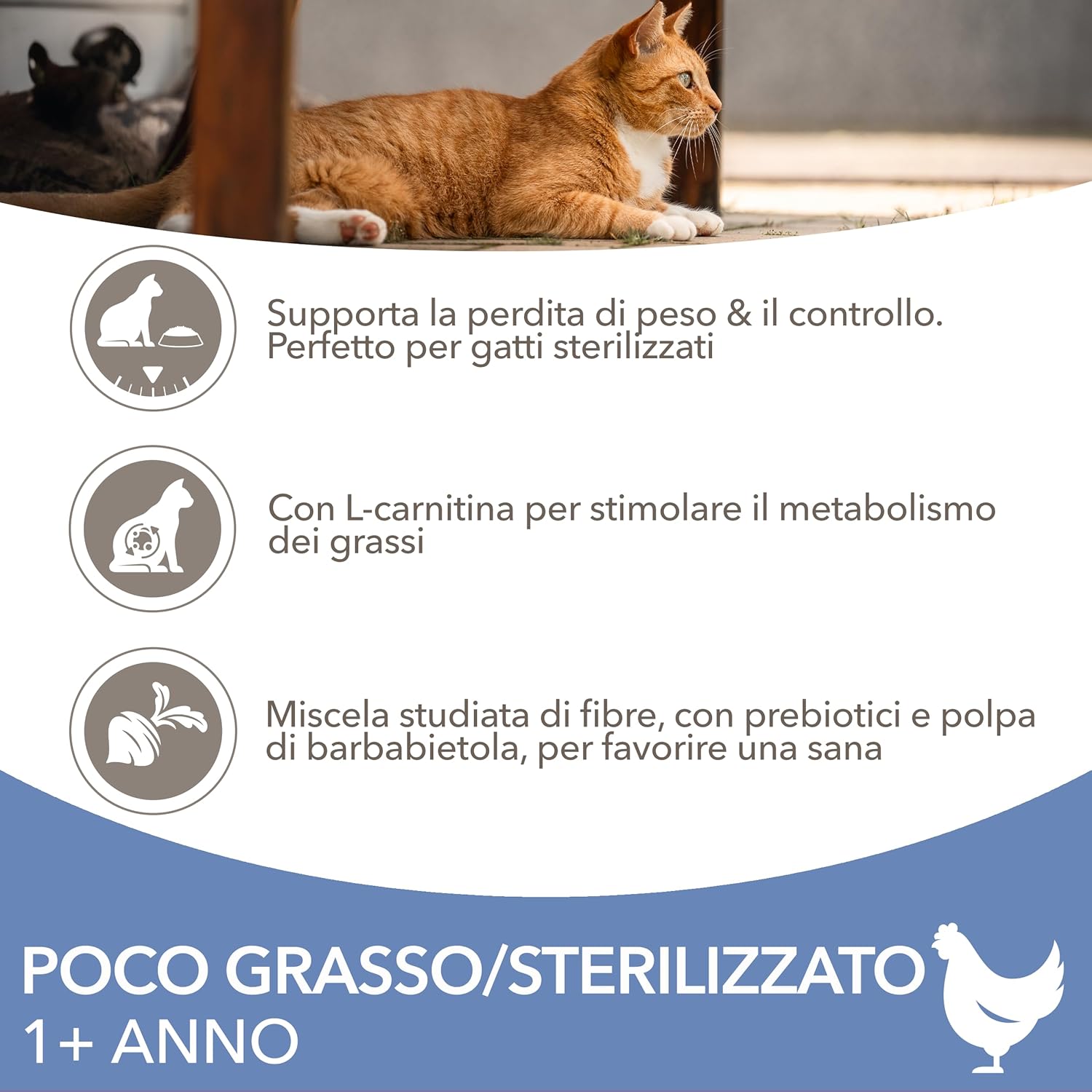Thumbnail 2 de IAMS Poco grasso/Sterilizzato Cibo secco con pollo fresco per gatti di 1+ (10 kg) – peso forma e benessere