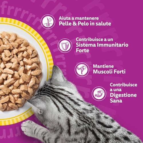 Thumbnail 5 de Whiskas Pranzetti Cibo Umido per Gatti Adulti in Salsa al Gusto Pollame – 12 confezioni da 6 vaschette da 50 g (3.600 g totali)