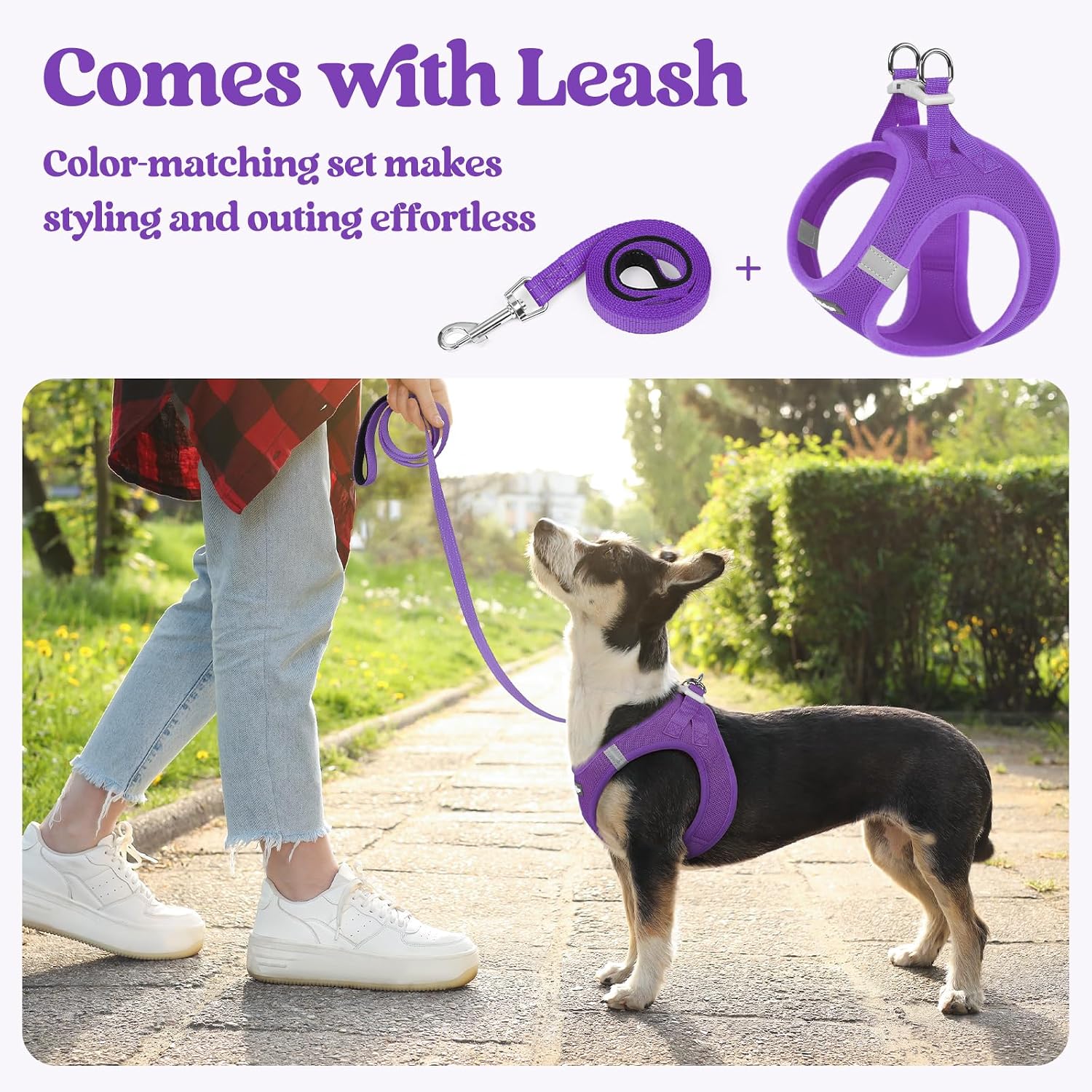 Thumbnail 5 de rabbitgoo Small Dog Harness and Lead Set for Small Dogs (Step-in, Purple)