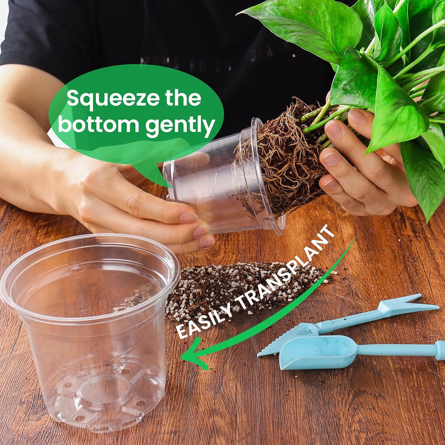 Thumbnail 4 de Bluepro Clear Nursery Pots, 36-Pack in Four Sizes with Drainage Holes