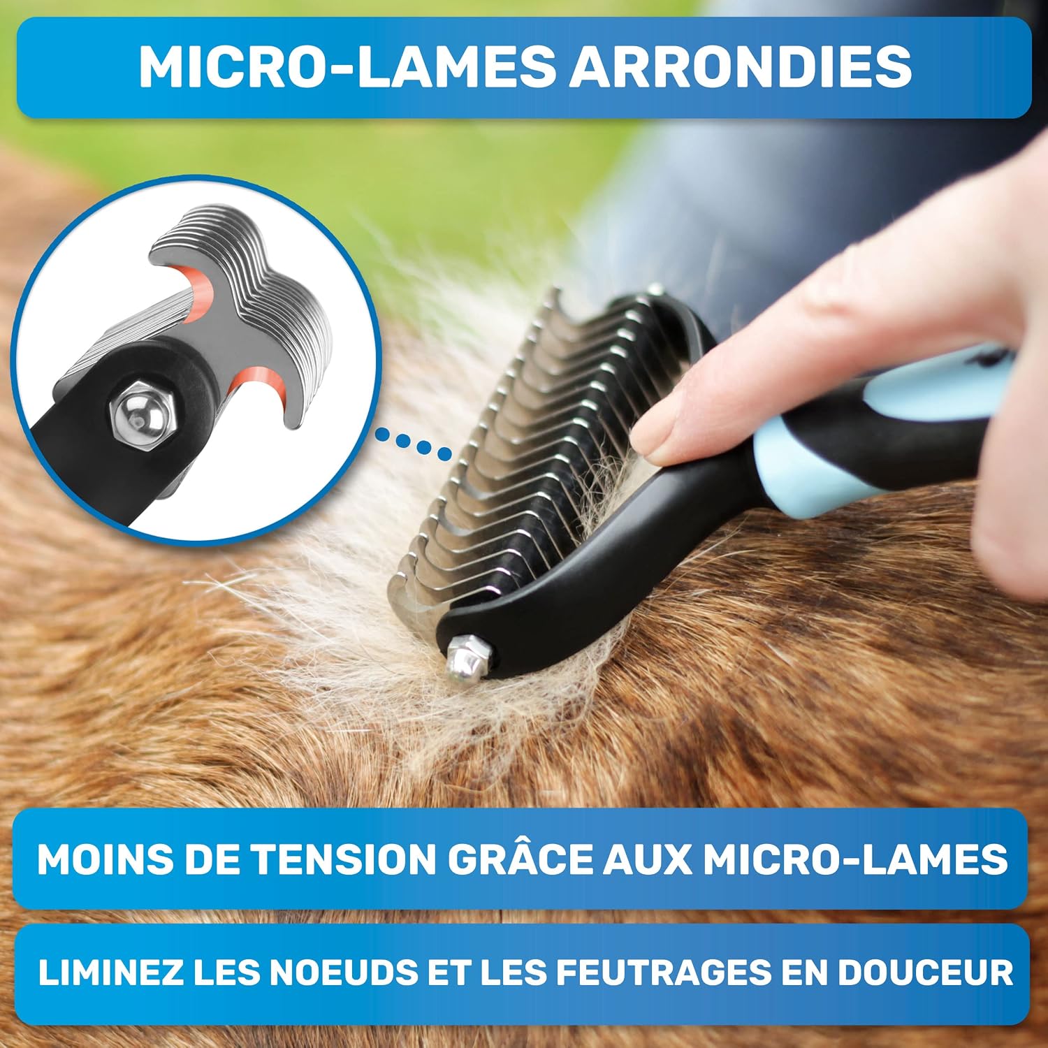 Thumbnail 6 de BluePet Brosse Chiens & Chats 🐾