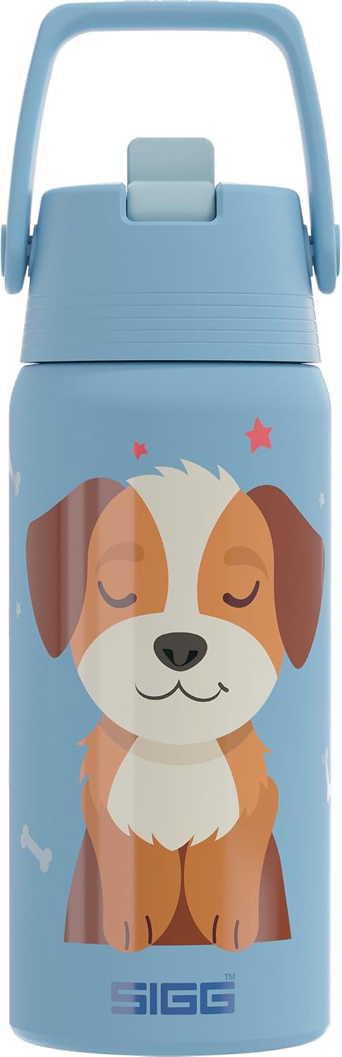 Detalle de SIGG SHIELD THERM FLIP Dream Big insulated bottle, 0.5L, with straw