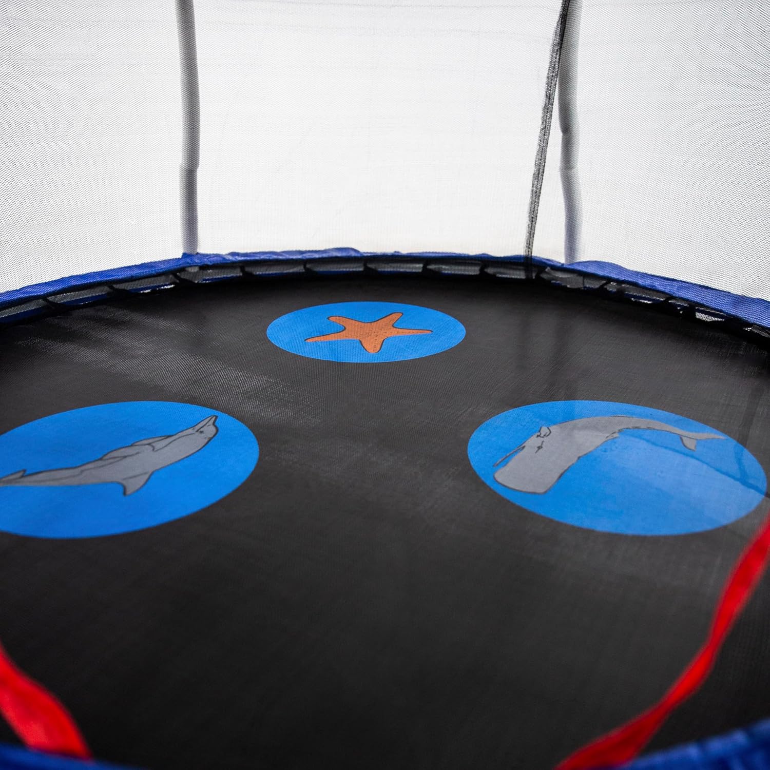 Detalle de Skywalker Trampolines Mini Trampoline with Enclosure Net (for Kids 3–7)