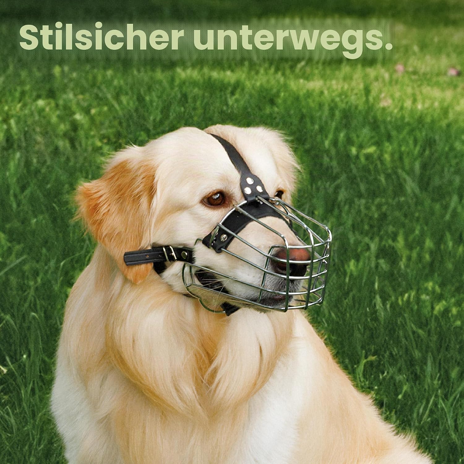 Detalle de BRONZEDOG Drahtkorb Maulkorb aus Leder und Edelstahl – Größe 5 (Belgian Malinois & Golden Retriever)