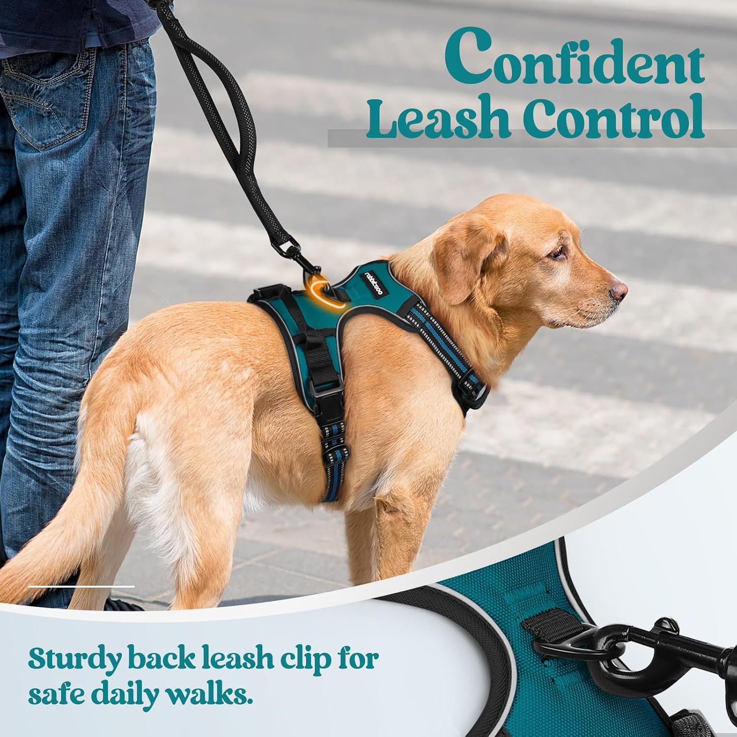 Thumbnail 6 de rabbitgoo Dog Harness Medium No Pull with 2 Leash Clips, Adjustable Soft Padded Vest, Reflective, Dark Green (M)