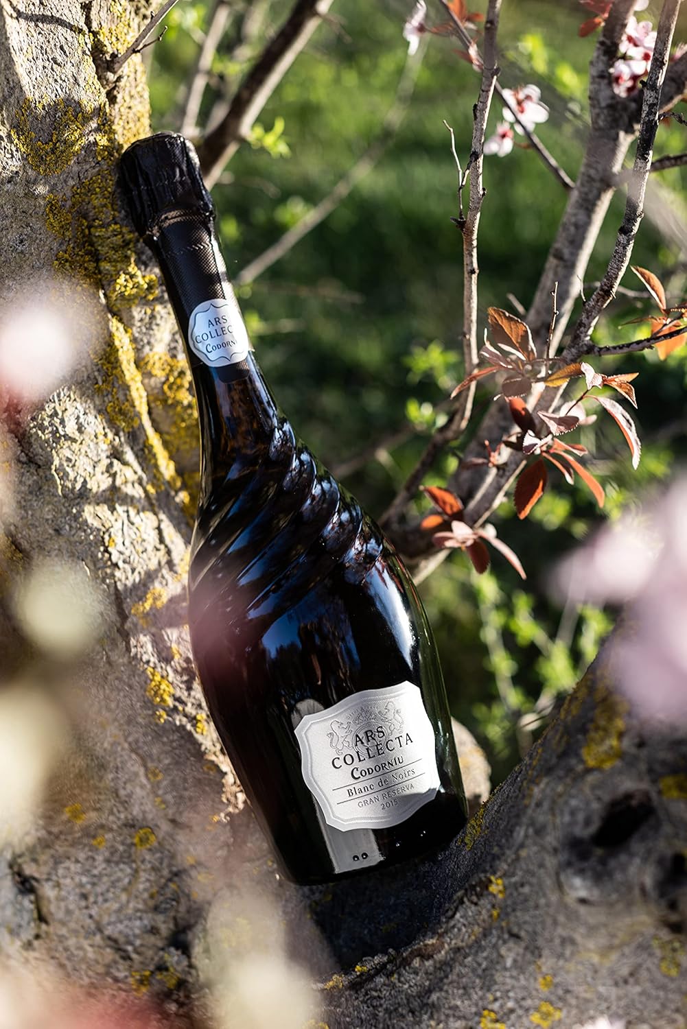 Thumbnail 1 de Codorníu Ars Collecta Blanc de Noirs Cava Gran Reserva 🥂 75cl