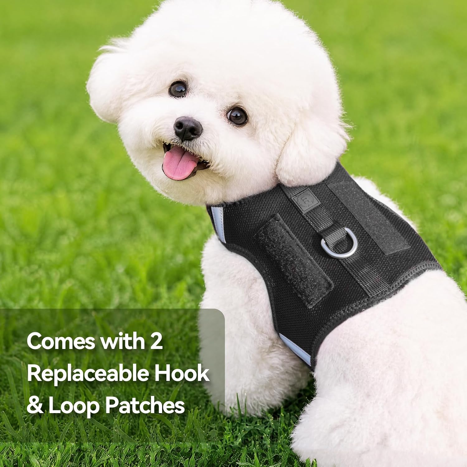 Thumbnail 1 de Sunraymascota Dog Harness, Size S