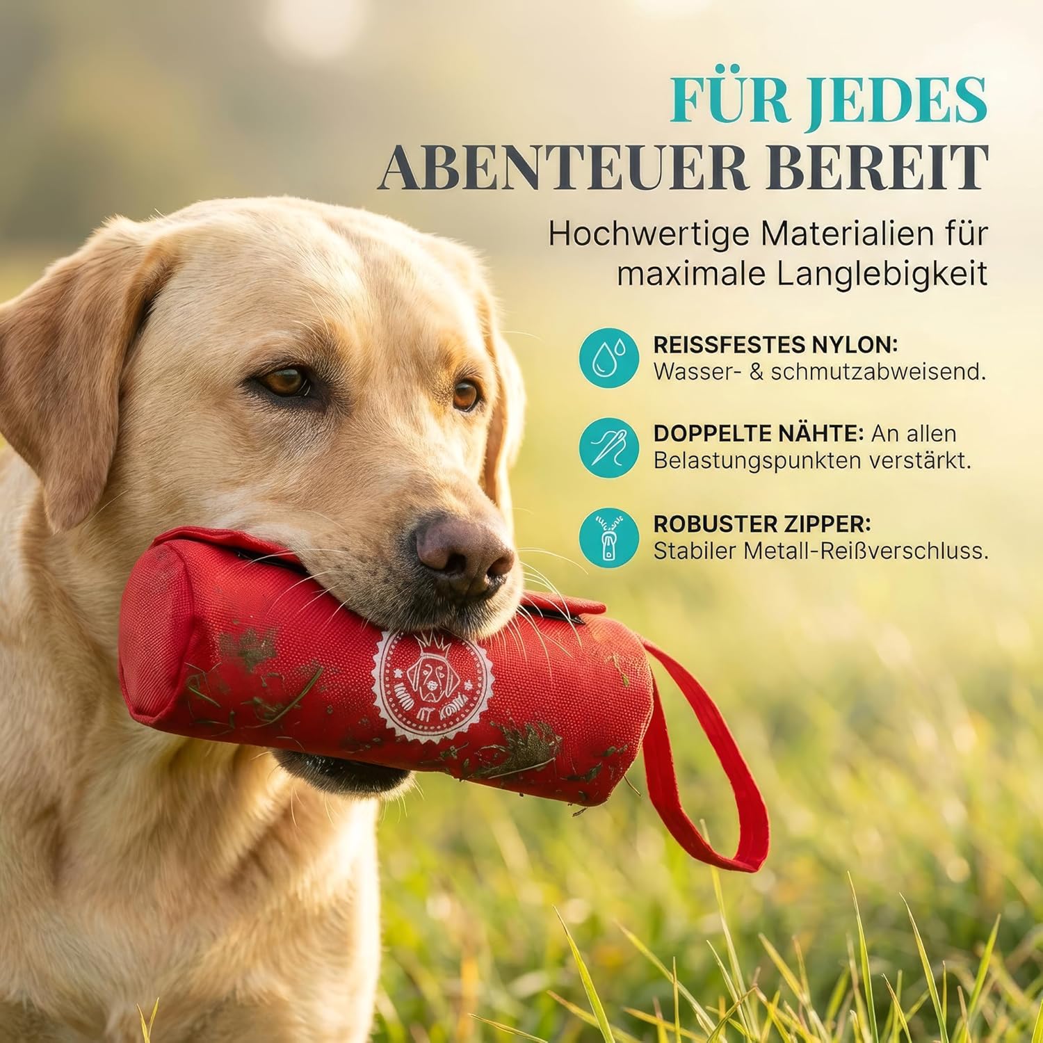 Thumbnail 2 de HUND IST KÖNIG Futterdummy für Hunde – Apportierbeutel Training, universal 0,7 L, inkl. Trainings-eBook
