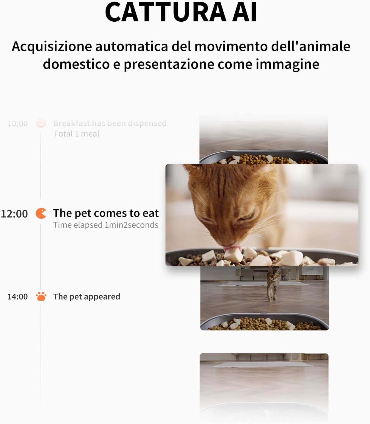Thumbnail 2 de PETKIT Distributore Cibo 5L Telecamera