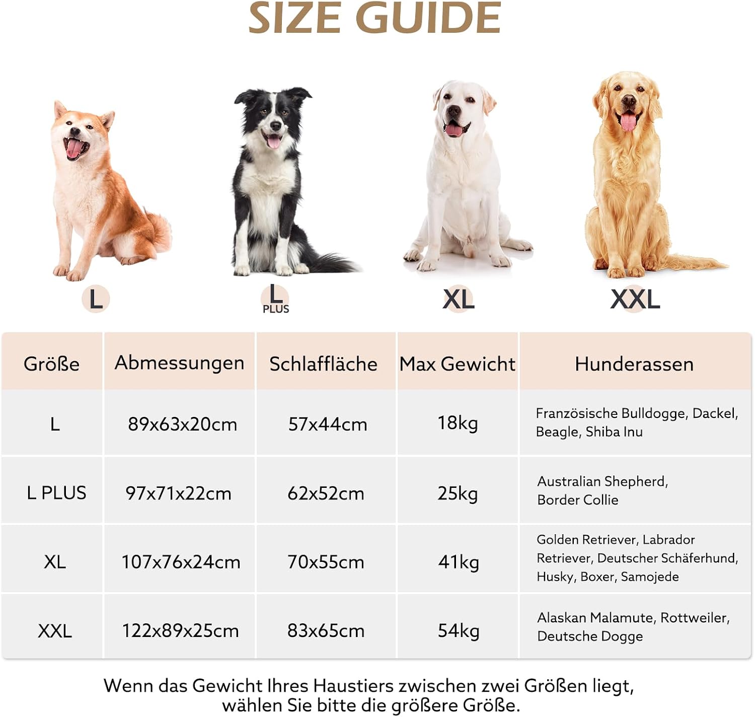 Thumbnail 6 de JOEJOY Orthopädisches Hundebett Grosse Hunde