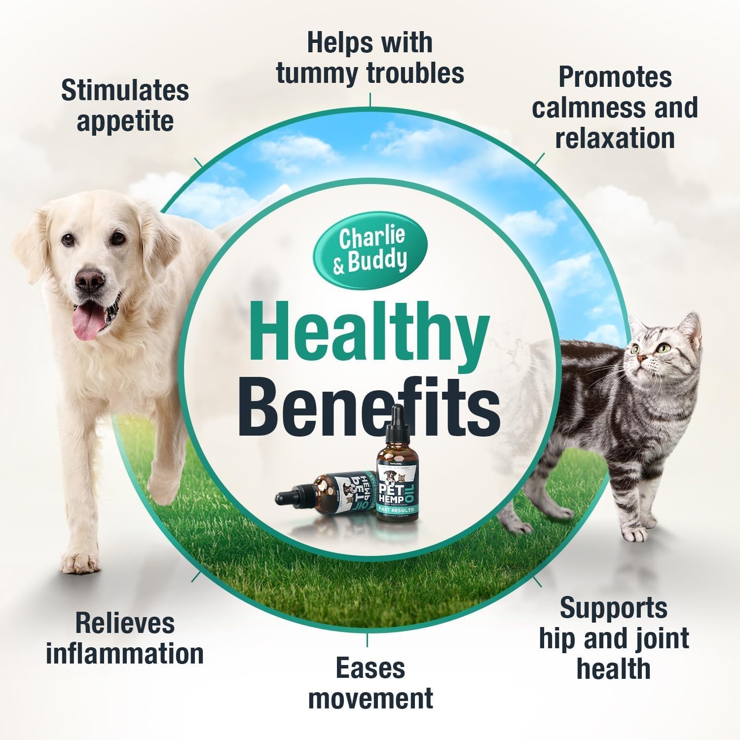 Detalle 2 de Charlie & Buddy Hemp Oil for Pets, 1 Fl Oz