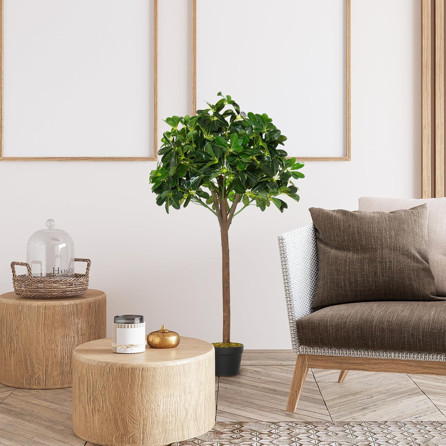 Thumbnail 3 de Outsunny Arbre Alstonia 1,20 m