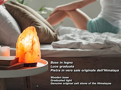 Detalle de BEPER P201UTP100: Lampada di Sale artigianale con intensità di luce regolabile e base in legno