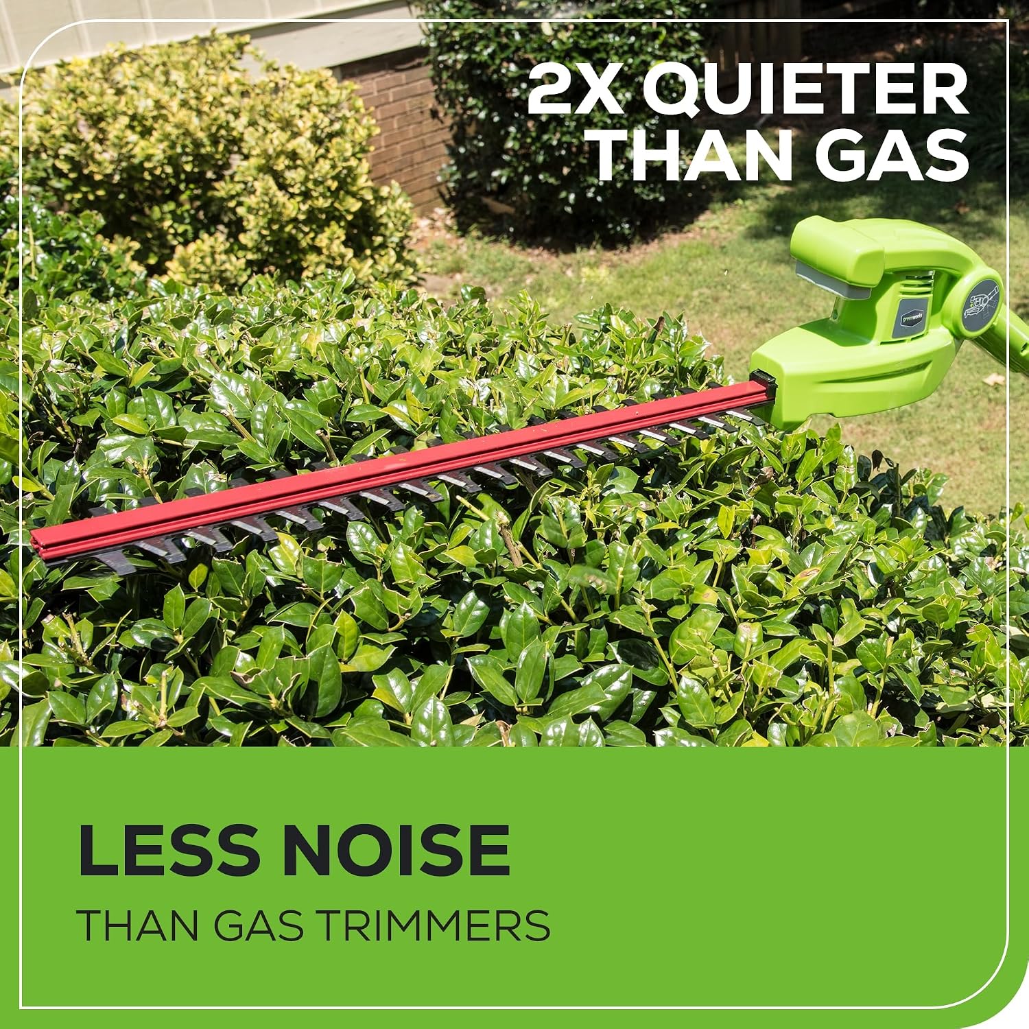 Detalle 2 de Greenworks Cordless Pole Hedge Trimmer 40V