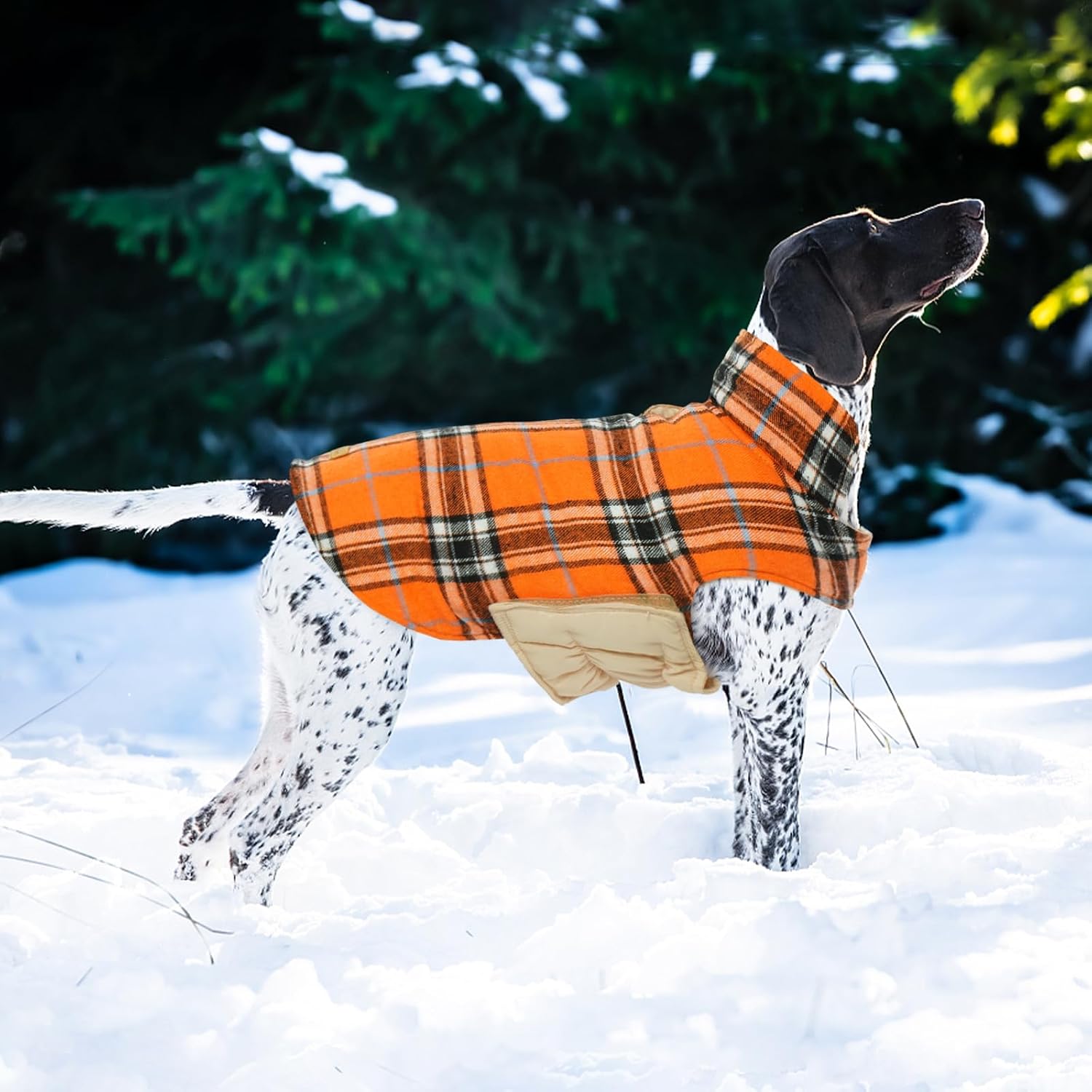 Thumbnail 6 de Kuoser dog coat, size L