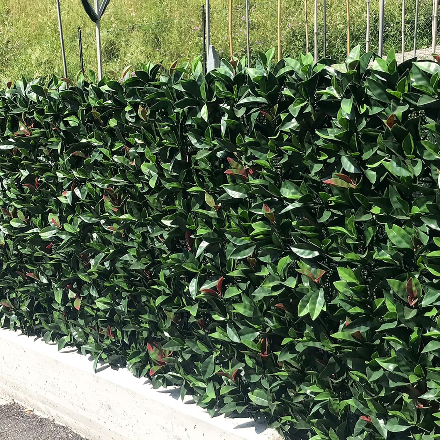 Thumbnail 2 de TENAX Divy 3D Plus Photinia: Siepe Sintetica 1,00x3m con Foglie 3D