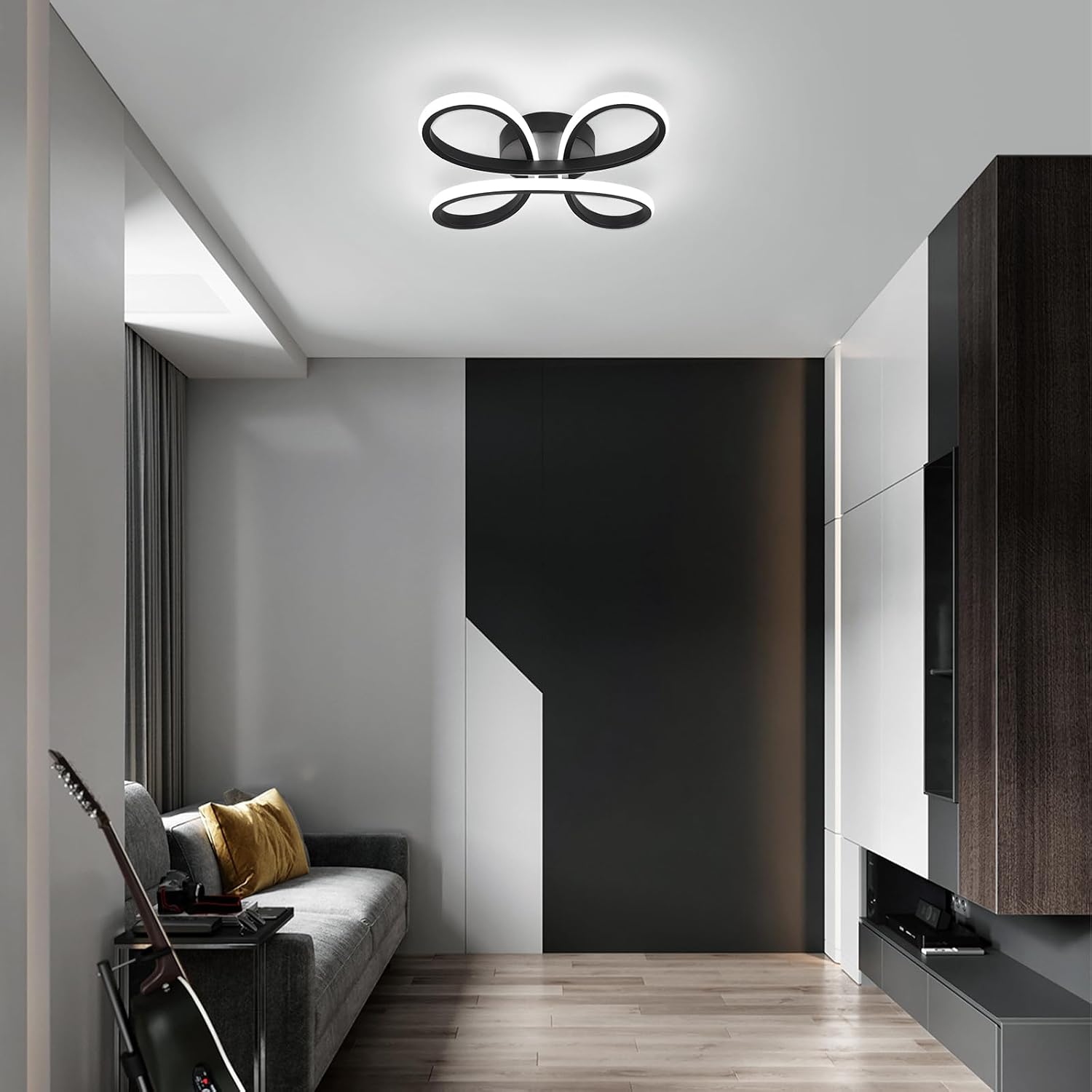 Detalle de EIDISUNY Modern LED Ceiling Light 30W (Black, Cool White 6000K) for Living Rooms & Hallways