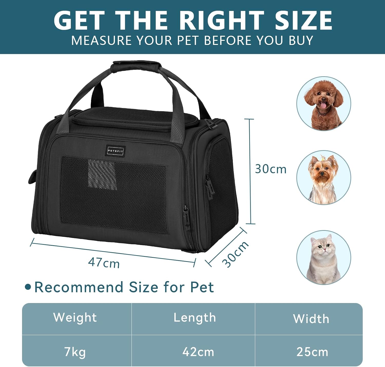 Detalle 2 de Petsfit Transportbox für Hund und Katze – Faltbare Tragetasche mit verstellbarem Schultergurt und weichem Kissen (M, Schwarz)