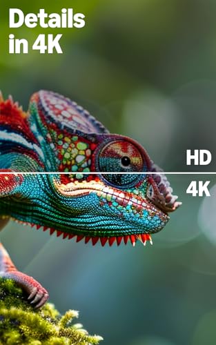Detalle de Amazon Ember 4-Serie mit Fire TV (neueste Generation) – 43-Zoll 4K UHD mit HDR10+