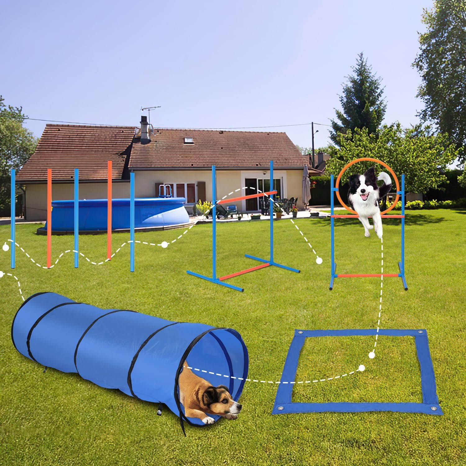 Detalle de Hebitod Agility Set Hunde – 5-teiliges Set für flexibles Hundetraining (Slalom, Hürde, Sprungring, Tunnel)