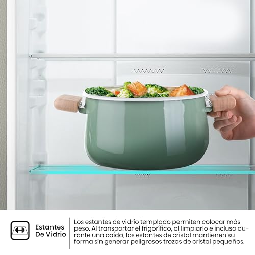 Thumbnail 14 de Hisense RB390N4ACE frigorífico combi 304 L silencioso