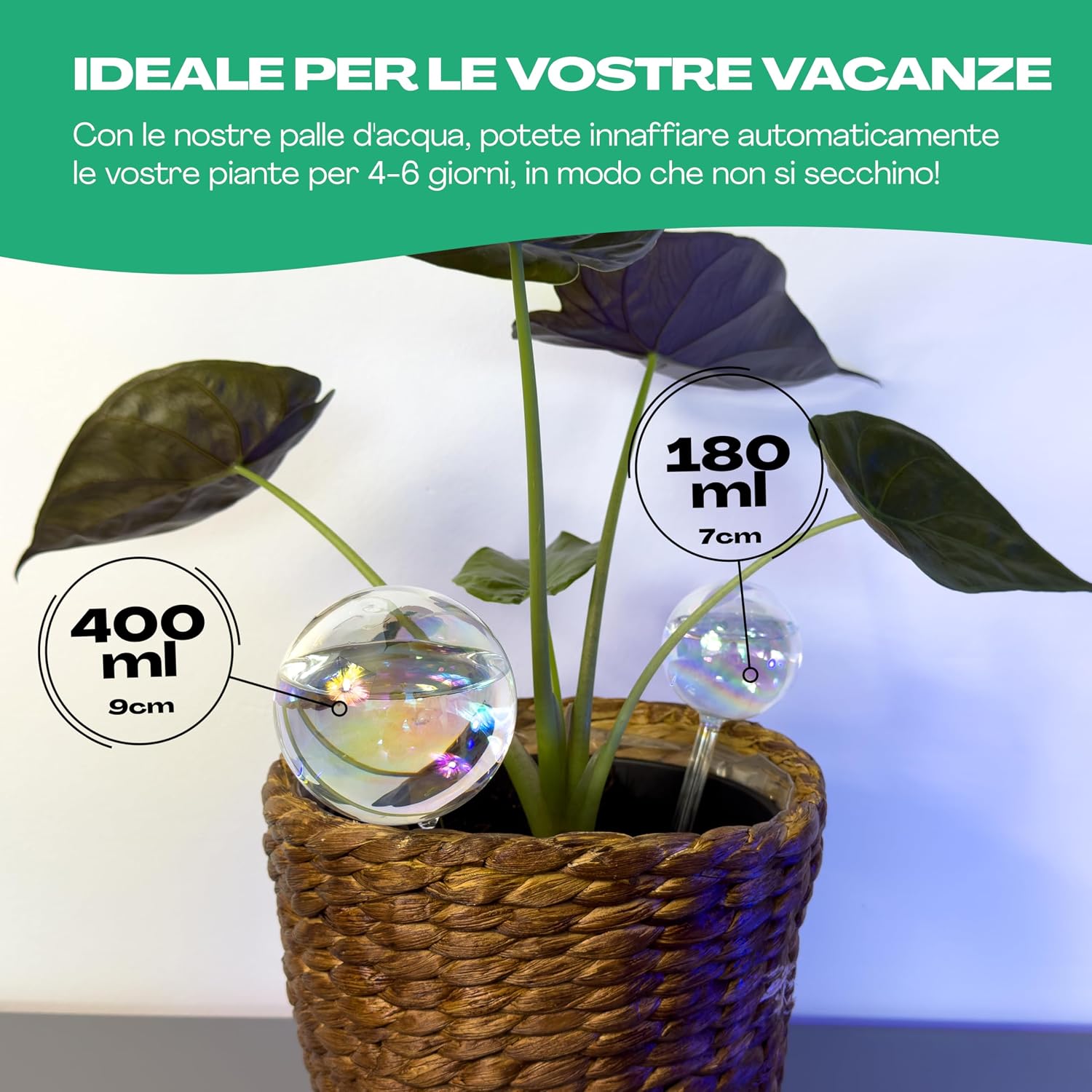 Detalle de Netrox - 2 Bulbi Autoirriganti in Vetro spesso: irrigazione semplice e autoctona per vasi e balconi