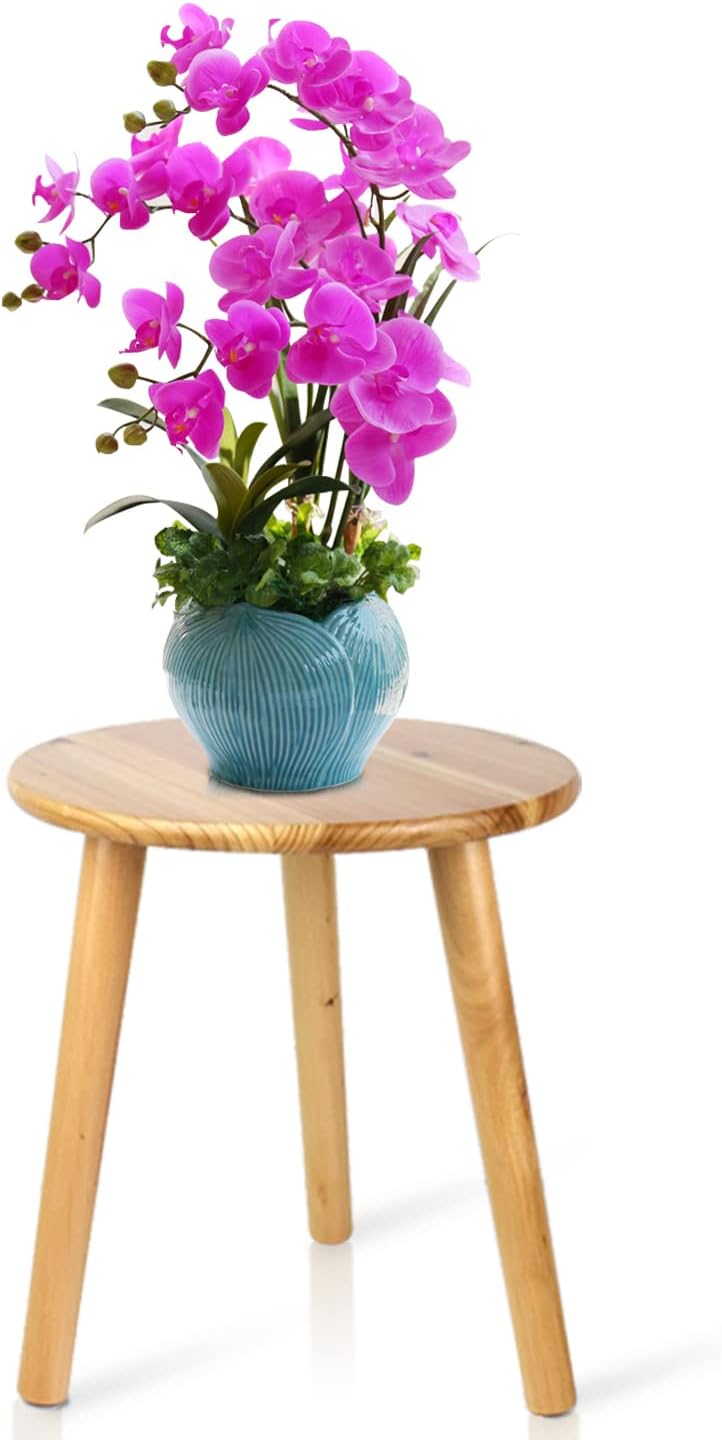 Detalle de Ethuh 12-Inch Round Wooden Plant Stand and Small Side Table
