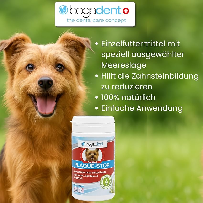 Thumbnail 1 de Bogadent Plaque-Stop Dog 70 g