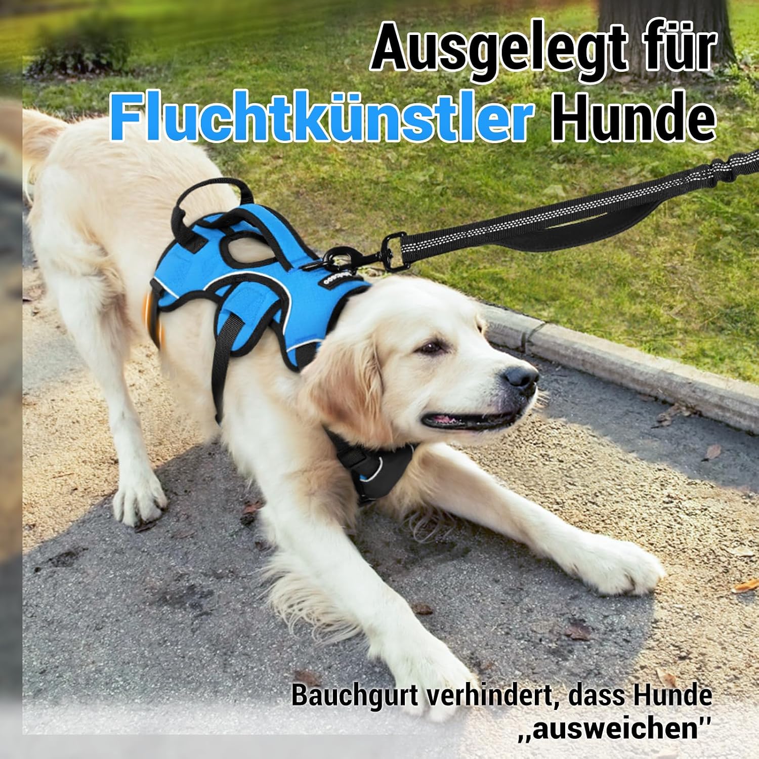 Detalle de rabbitgoo Ausbruchssicheres Hundegeschirr mit Griff, gepolstert – Größe L (blau)