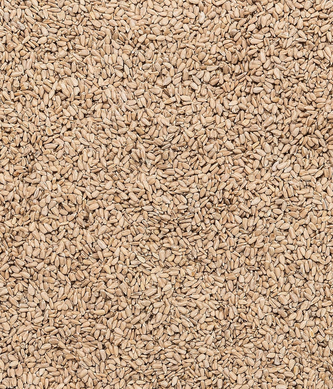 Thumbnail 3 de Dehner Natura Premium Nourriture pour Oiseaux Sauvages – Graines de Tournesol Décortiquées en Seau 5 kg