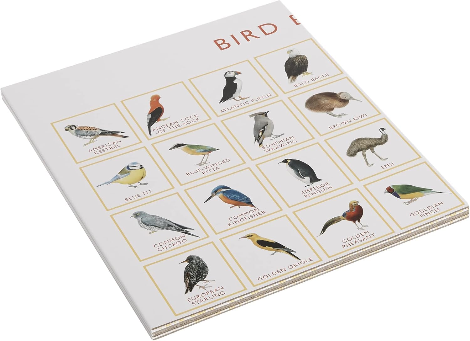 Detalle 2 de Laurence King Bird Bingo