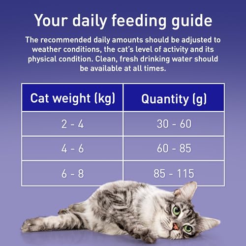 Thumbnail 8 de Purina One Salmon Dry Cat Food 800g (Pack of 4) – Adult Cat Nutrition
