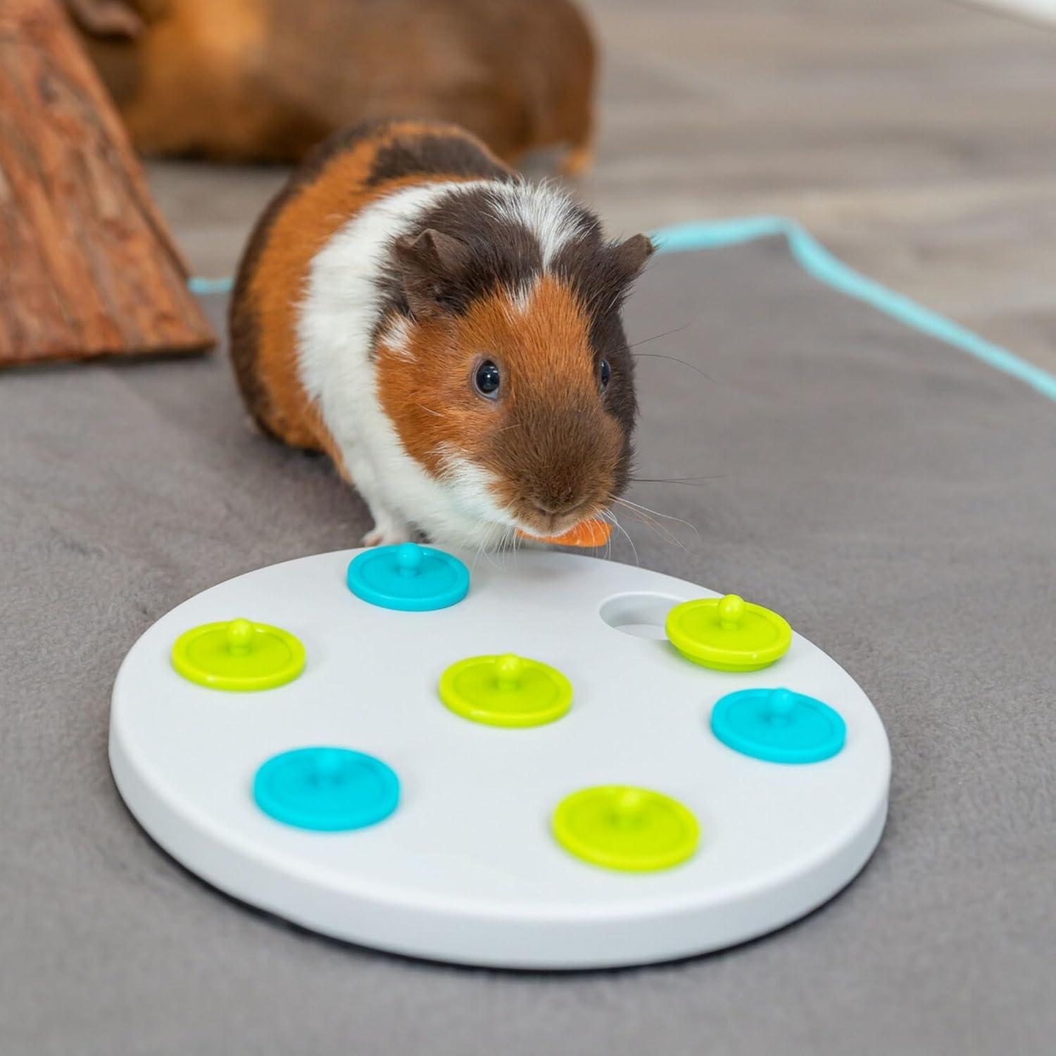 Thumbnail 6 de Trixie 62812 Snack Board aus Kunststoff (ø 20 cm) in Grau