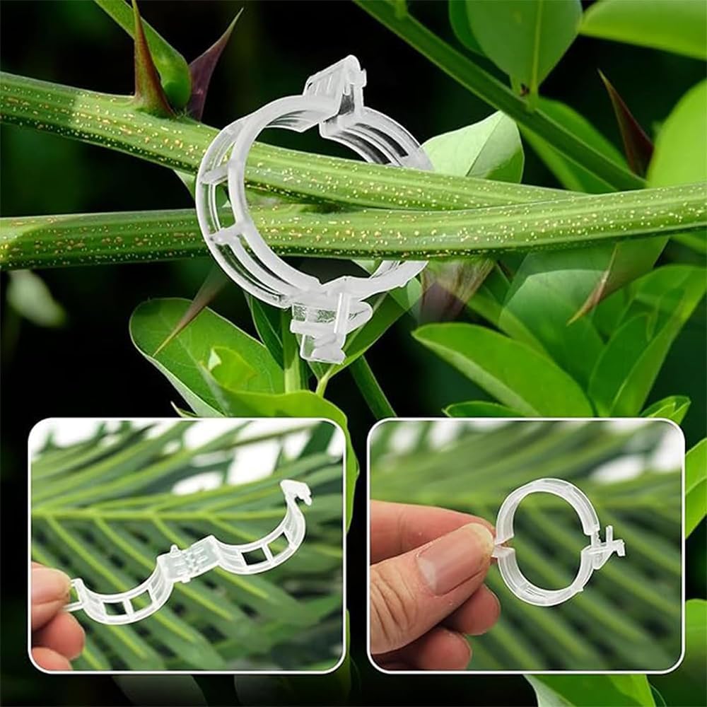 Thumbnail 3 de HuaMuDM Tomatenhaken mit Schnur – 40er Set für Tomaten, Gurken & Kletterpflanzen