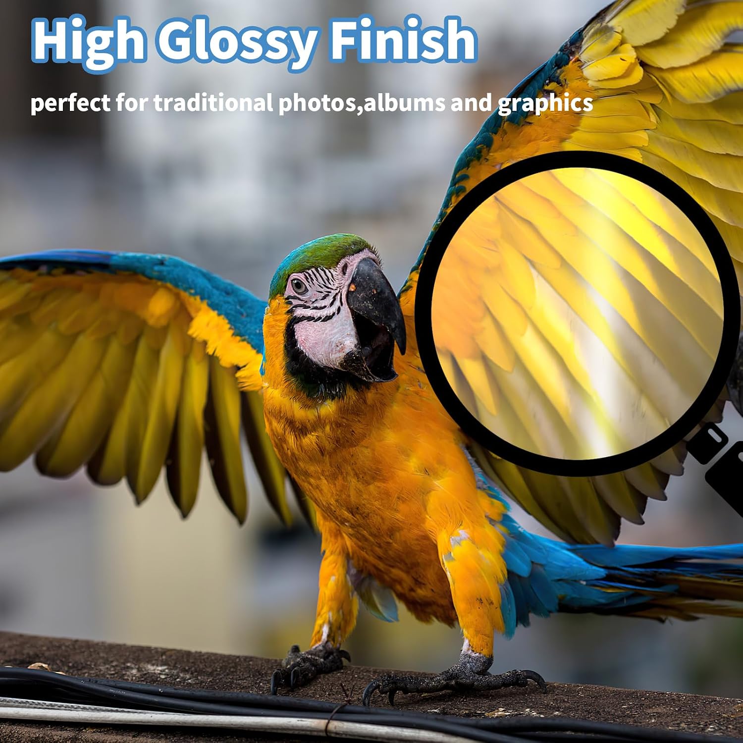 Detalle de Reastar 8.5 x 11 Glossy Inkjet Photo Paper, 36 Sheets, 180 gsm