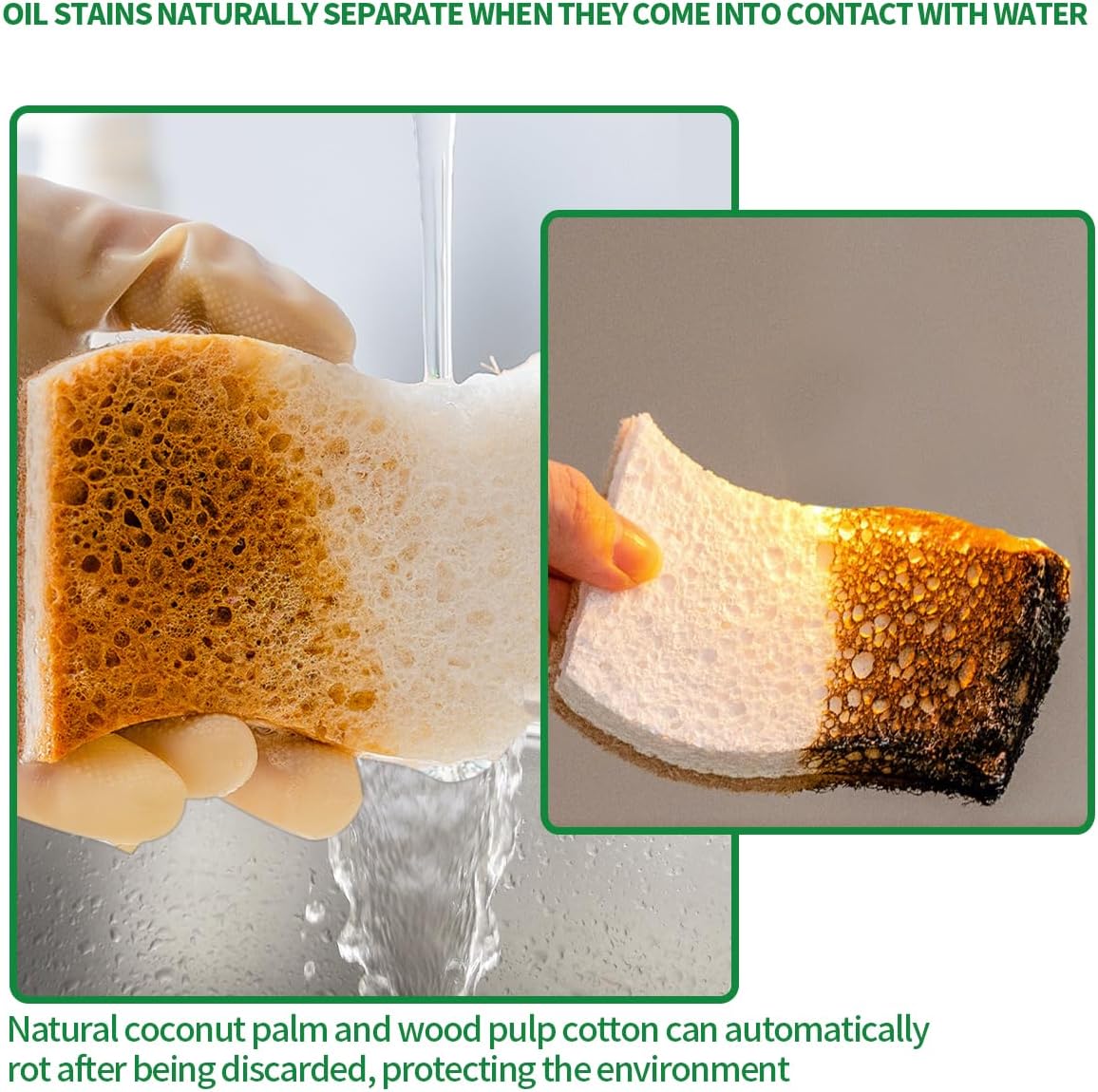 Detalle de Sponges Kitchen Natural Dish Sponge – Plant-Based, Biodegradable & Compostable (Pack of 12)